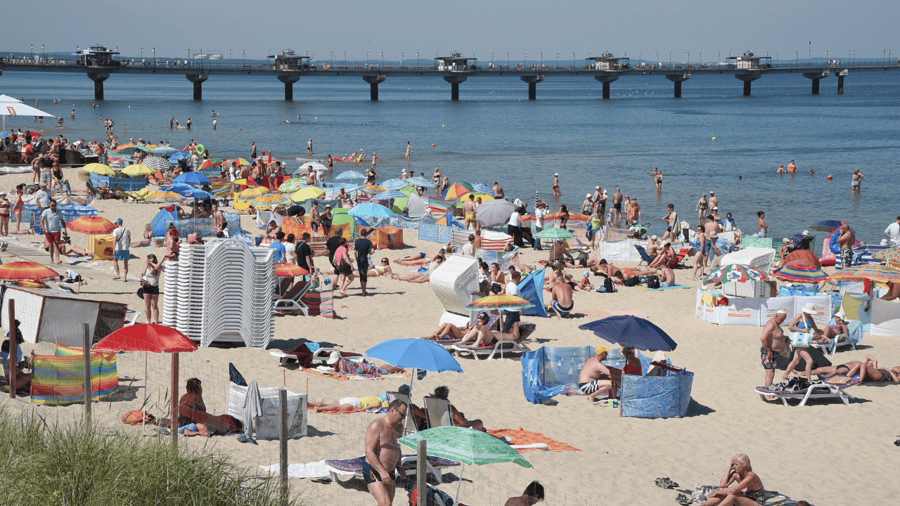 Nie kąp się w Bałtyku, jeżeli to zobaczysz. Może zagrozić zdrowiu