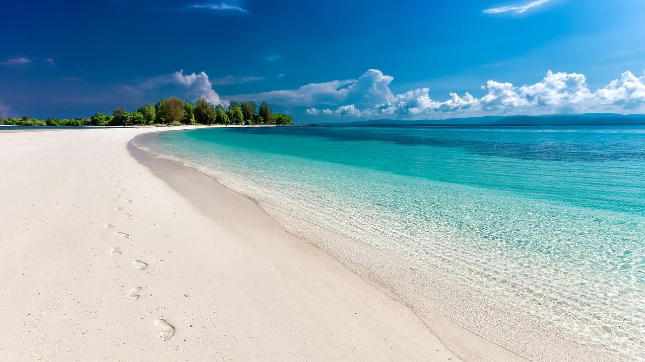 plaża.jpg