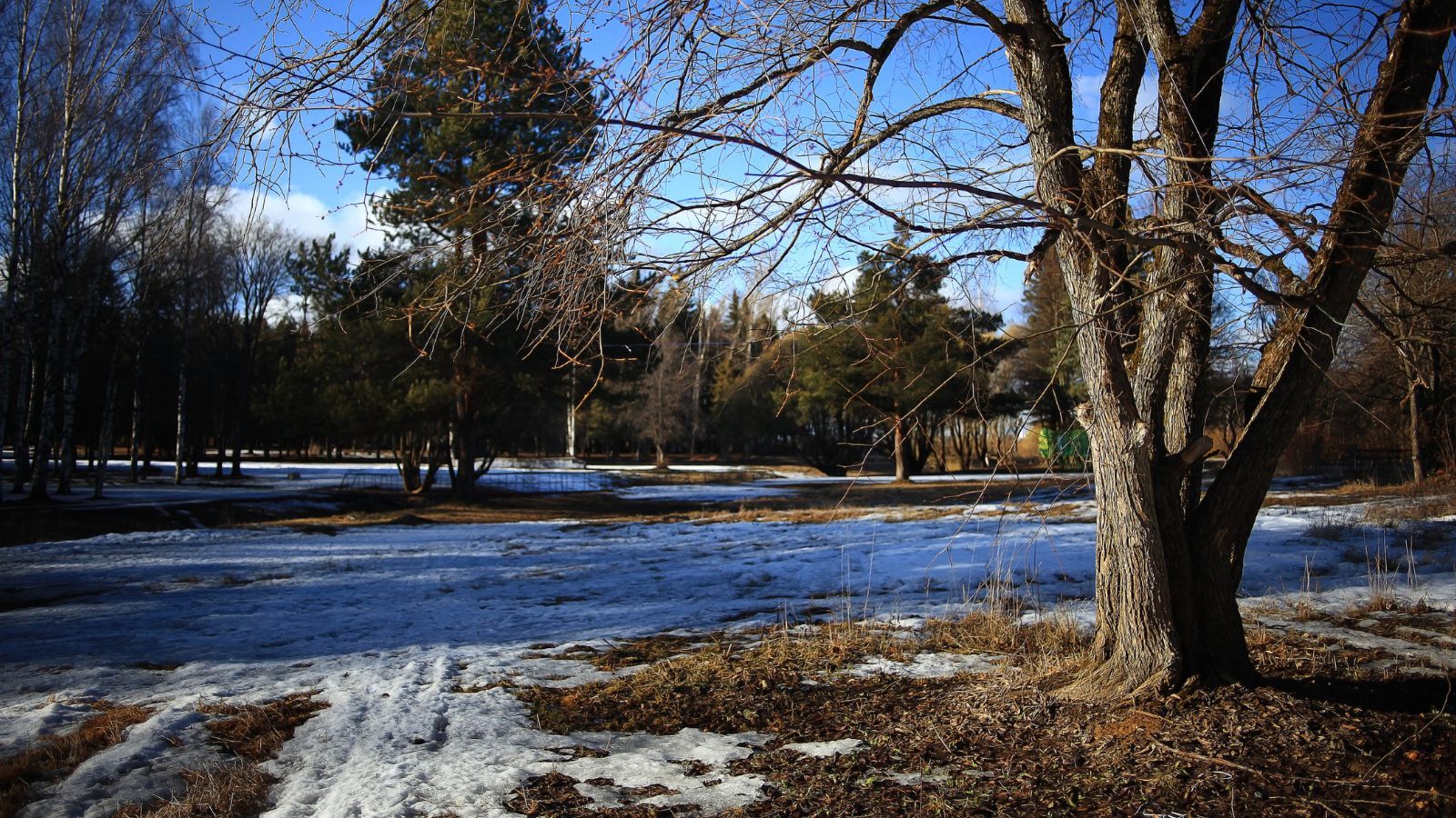Antycyklon nadciąga do Polski. Prognozy wskazują wyraźnie, takiego grudnia nie było od dawna