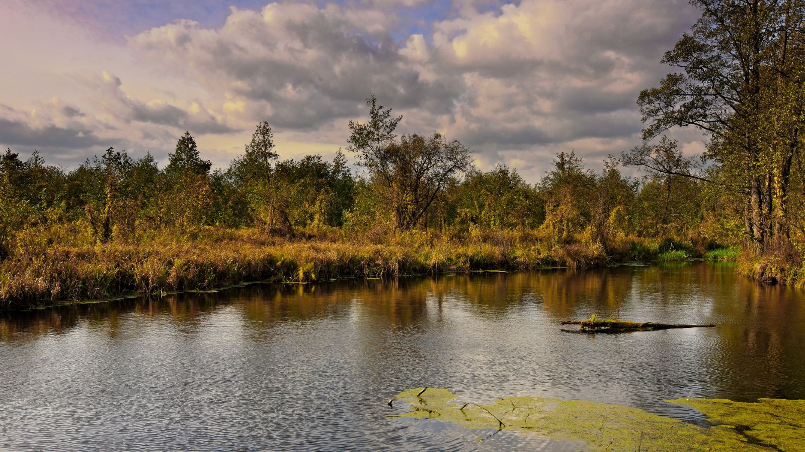 400 zł dopłaty do wakacji. Wniosek można składać od 21 marca, aż żal nie skorzystać