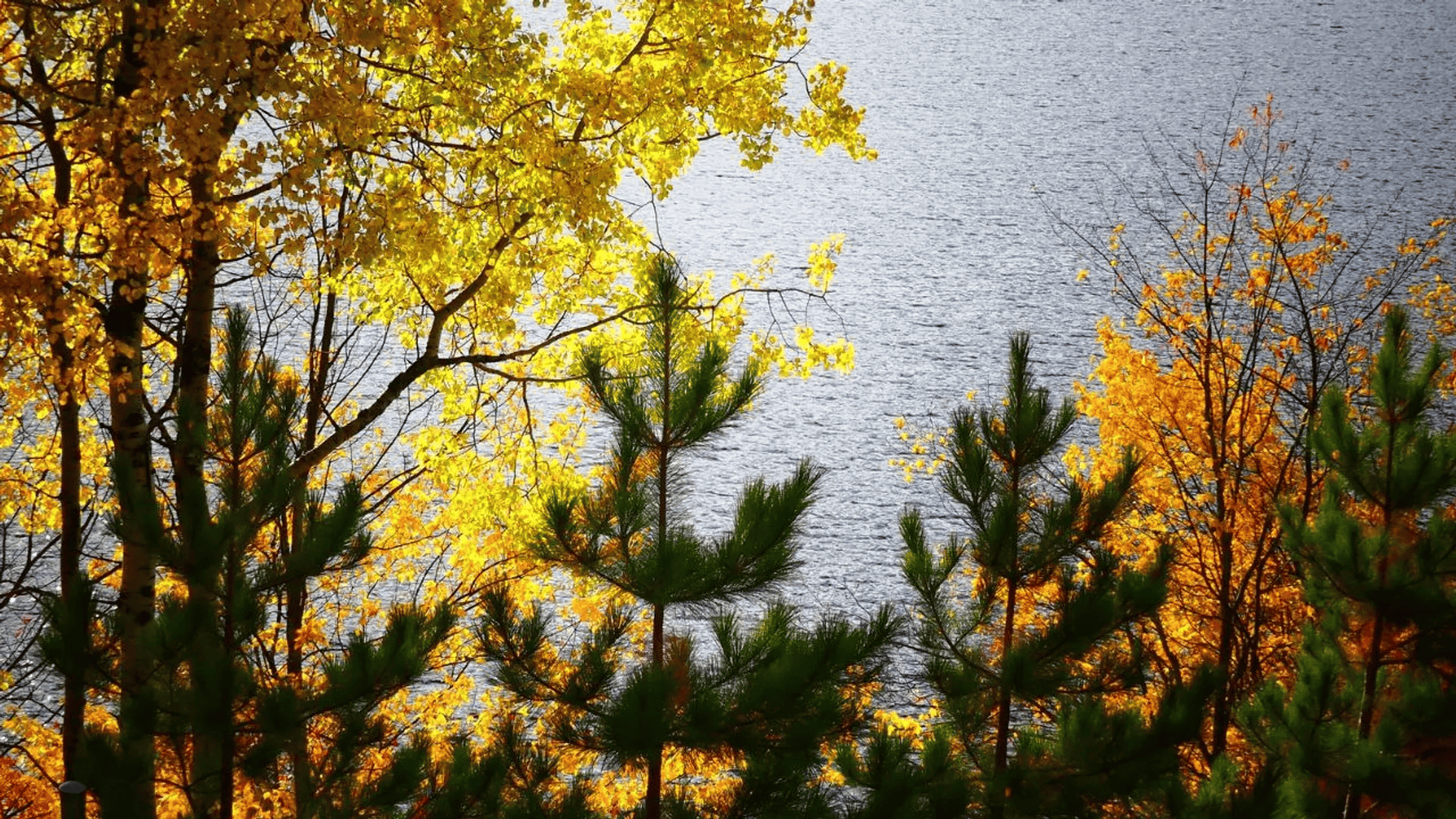 Prognoza pogody na długi weekend. Słonecznie będzie tylko w kilku miejscach