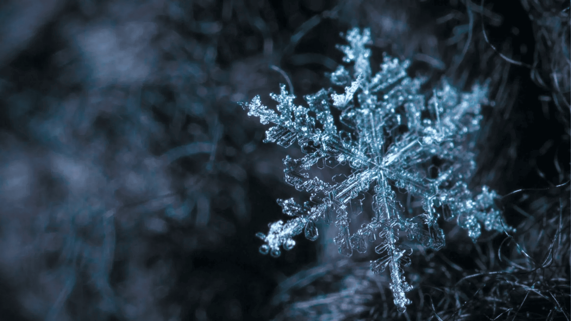 Zacznie się tuż przed świętami. Takiego grudnia nie było dawno, są prognozy pogody
