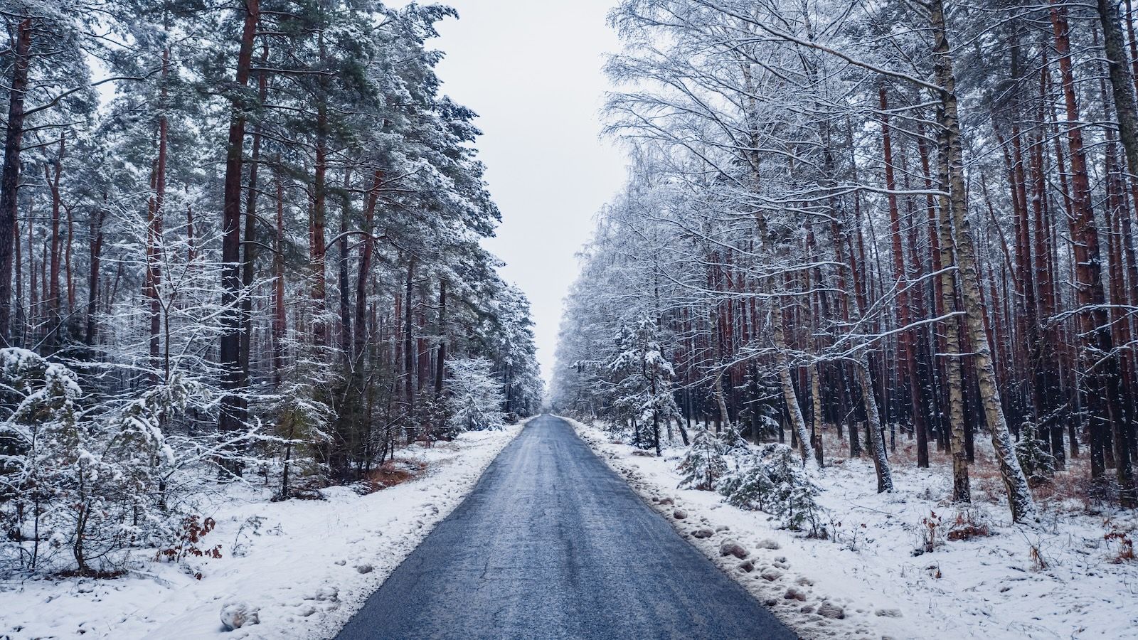 Meteorolodzy biją na alarm. Europę czeka drastyczny przebieg zjawisk pogodowych