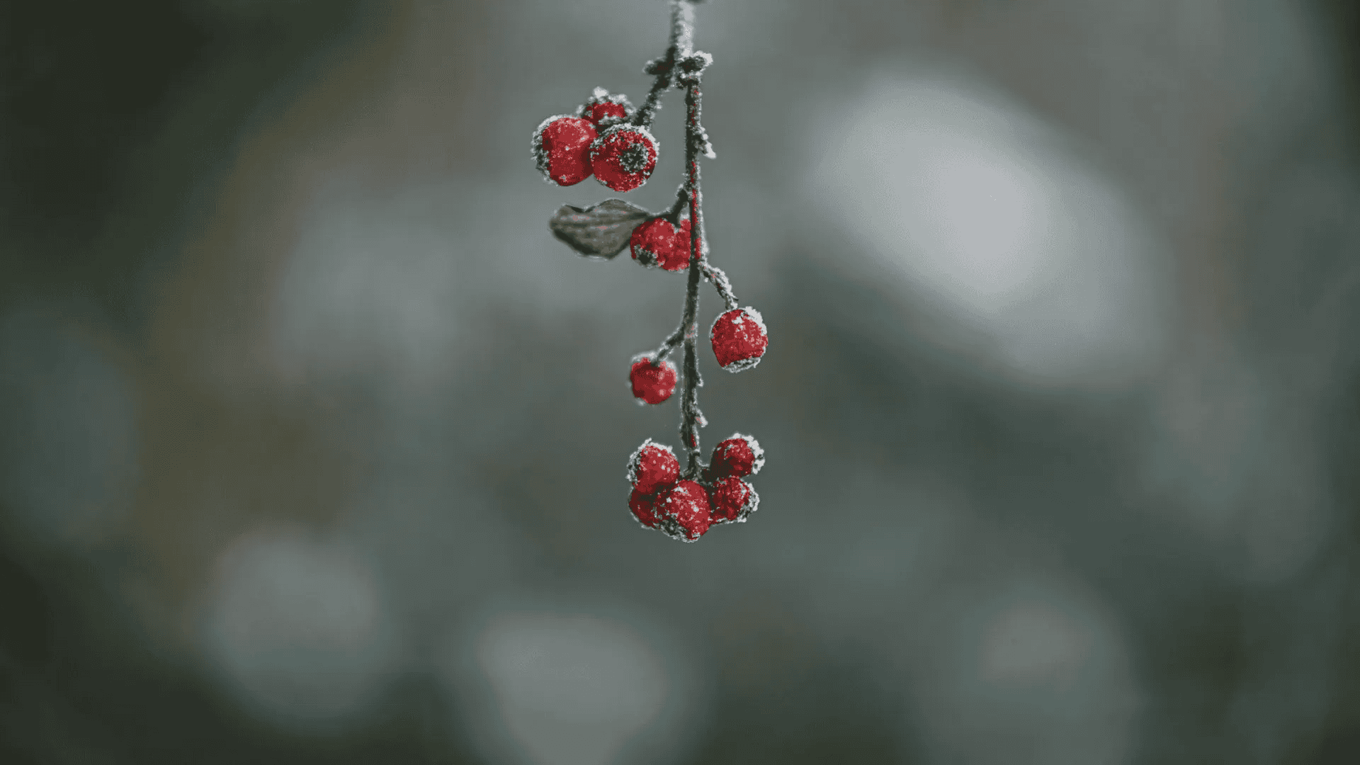 Najpierw -20, a później 18 st. C na plusie. Nadchodzi wyczekane ocieplenie, Polacy się ucieszą