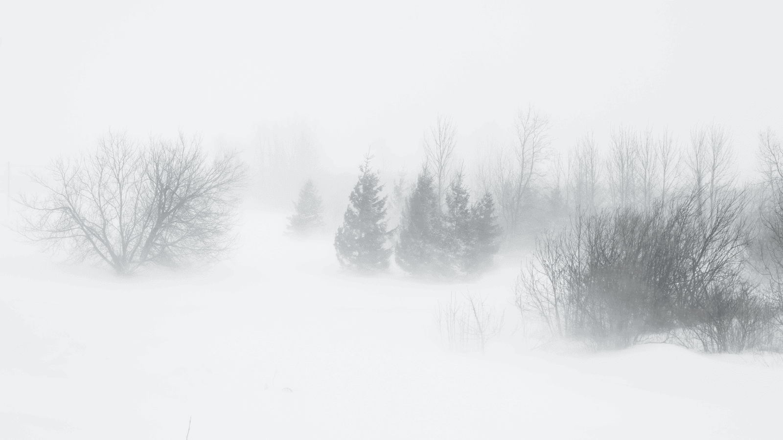 SMSy z ostrzeżeniem trafiają właśnie do kolejnych Polek i Polaków. Wiemy co się dzieje