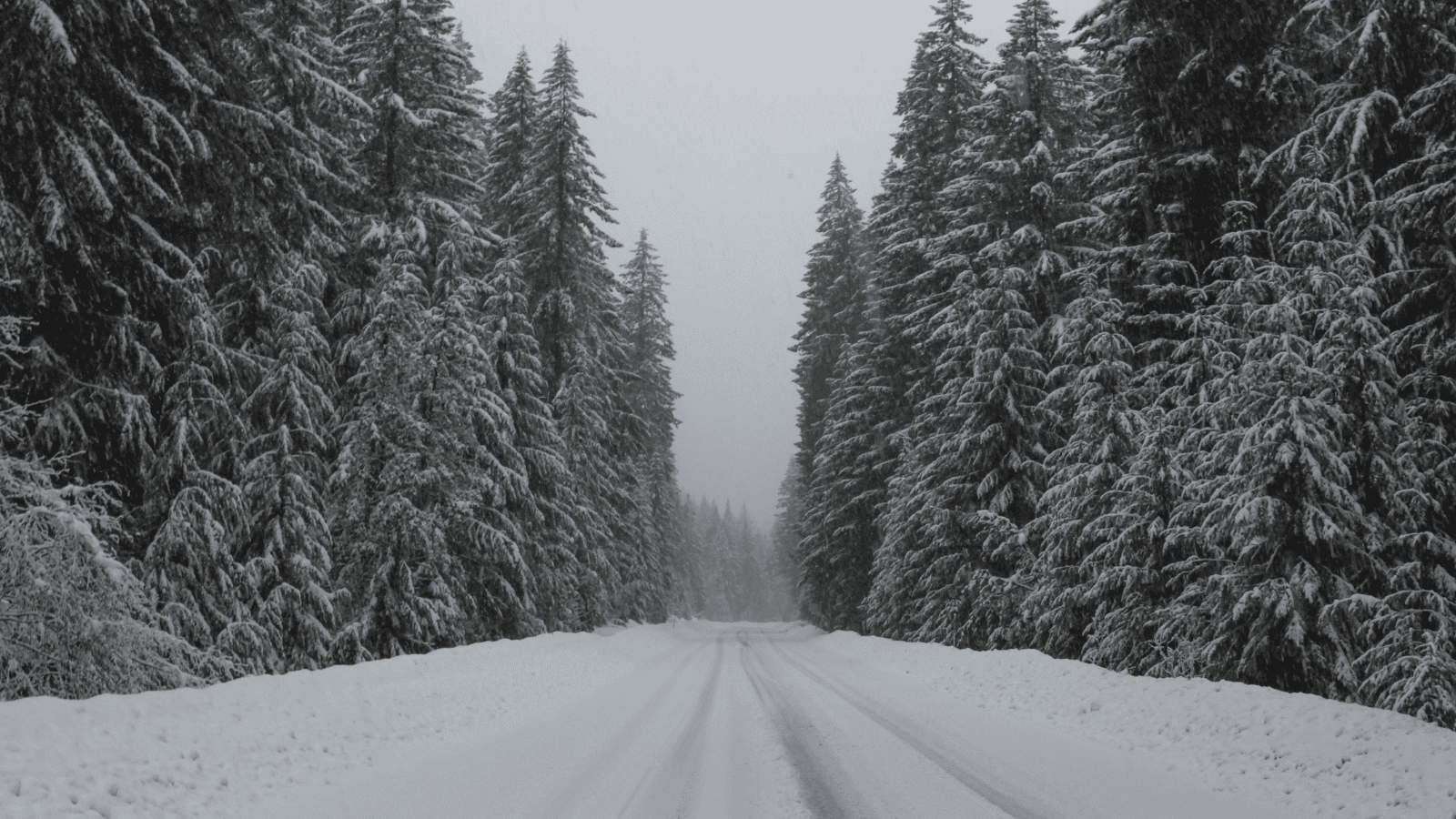Atak zimy uderzy w Polskę. choćby 60 cm śniegu, zacznie się za chwilę. IMGW alarmuje
