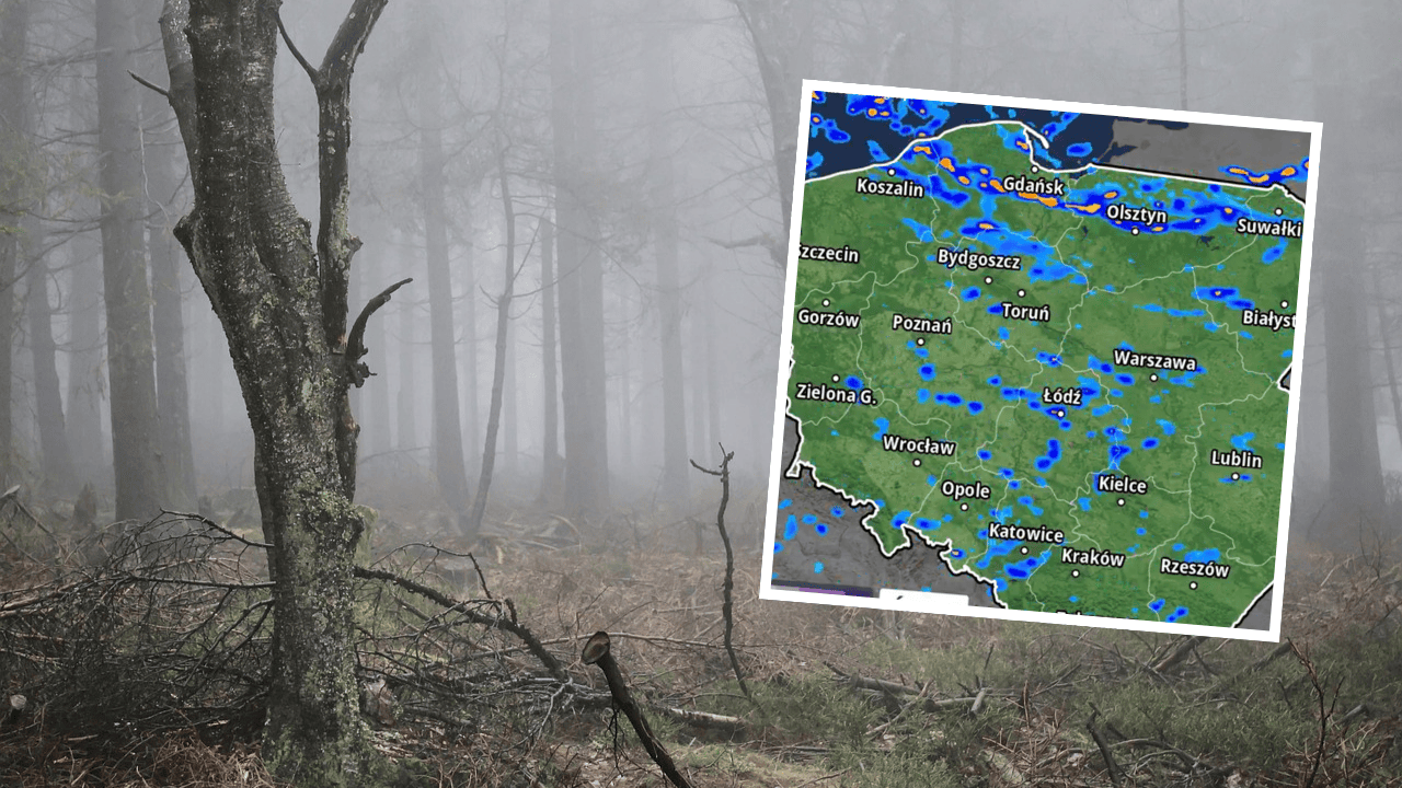 Pogoda, mapa Polski