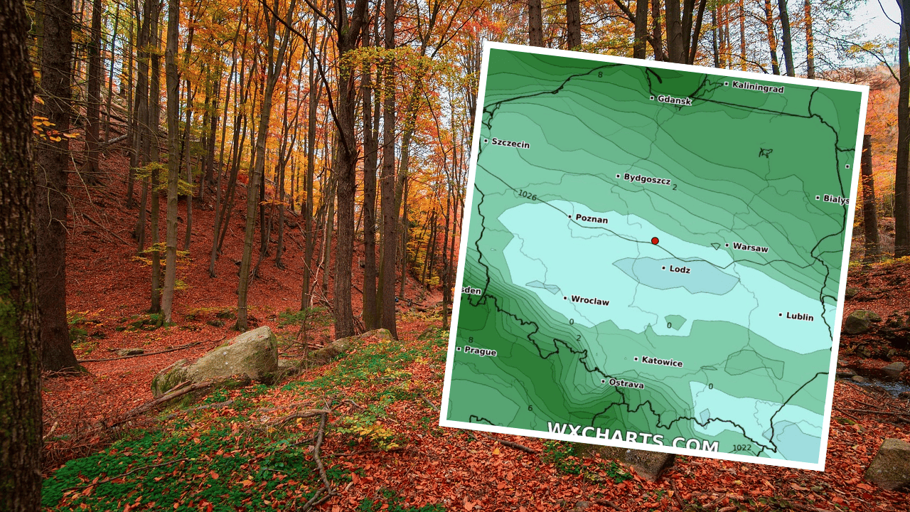 Temperatura nagle skoczy o 20 stopni. Takiej pogody w Polsce nie było od dawna