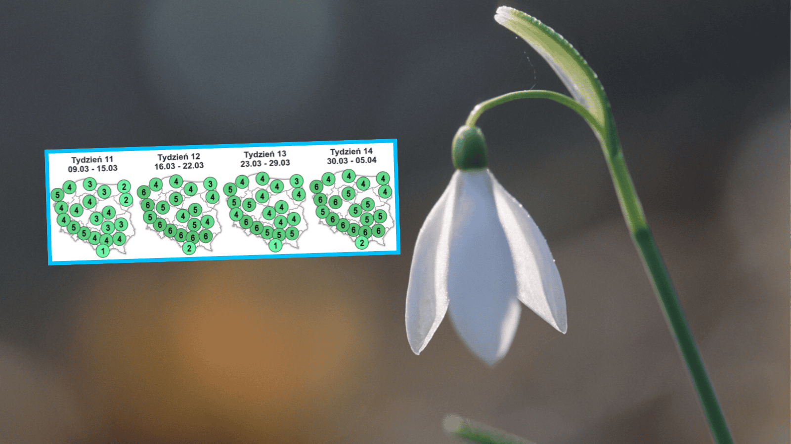 Niesłychane, jaka będzie tegoroczna Wielkanoc. Prognozy synoptyków mówią jasno