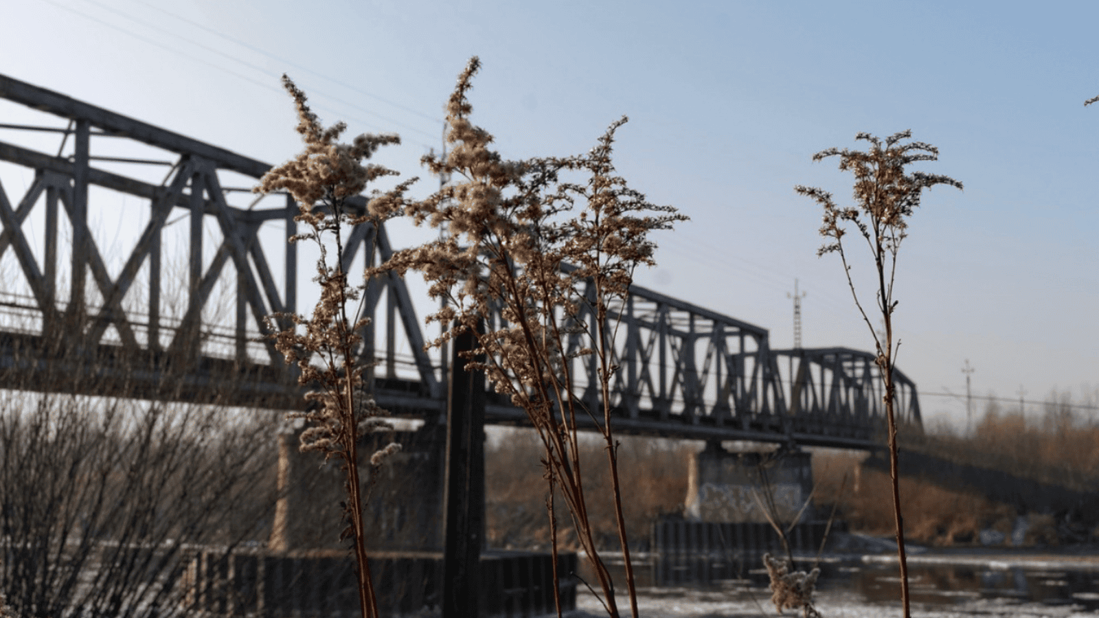 Pogoda na Sylwestra i Nowy Rok. Prognozy nie pozostawiają złudzeń