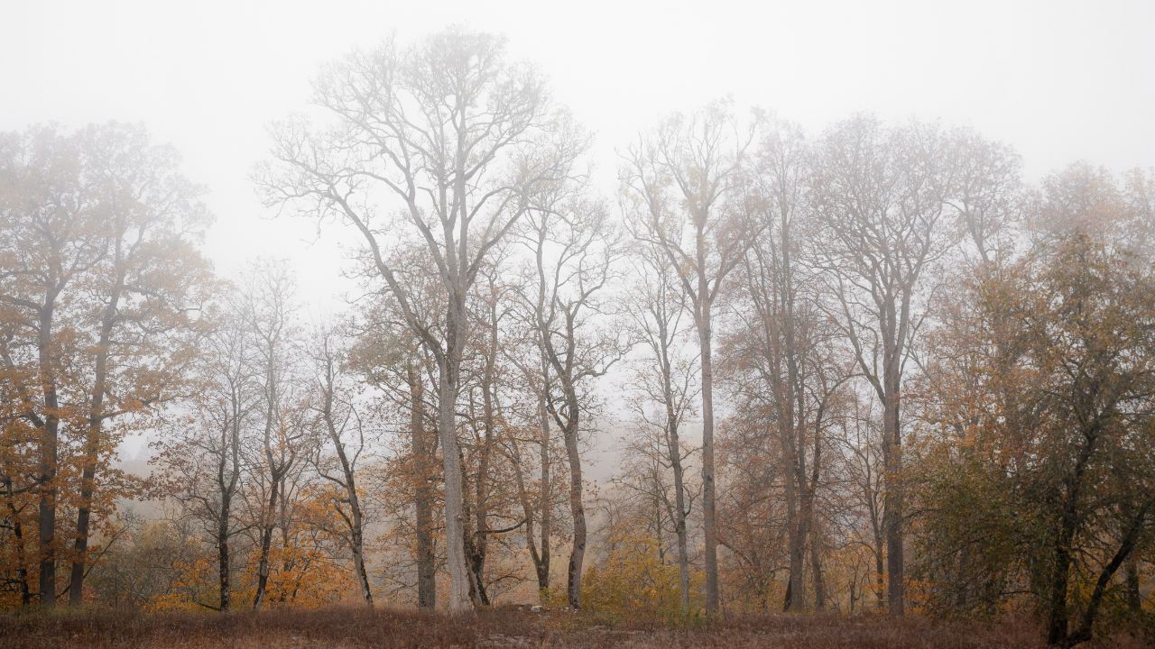 Pogoda na 11 listopada. Prognozy nie pozostawiają żadnych złudzeń, IMGW ostrzega Polaków