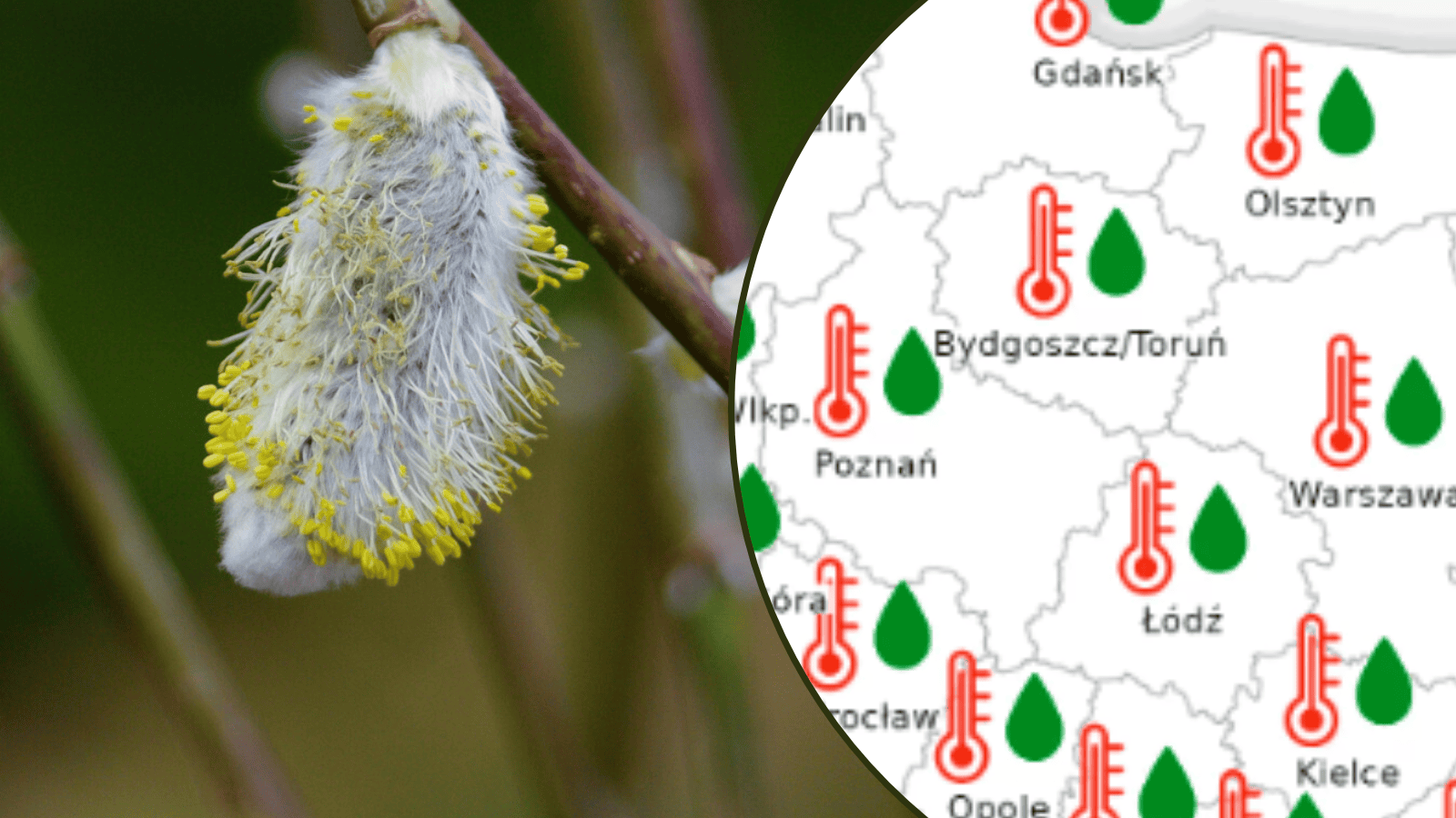 Ekstremalna anomalia ciepła na początku 2026 roku. Prognozy wskazują jasno