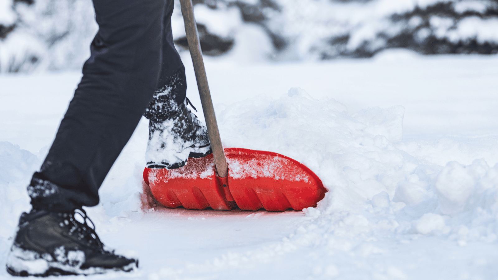 Takiej pogody w grudniu nie było w Polsce od 74 lat