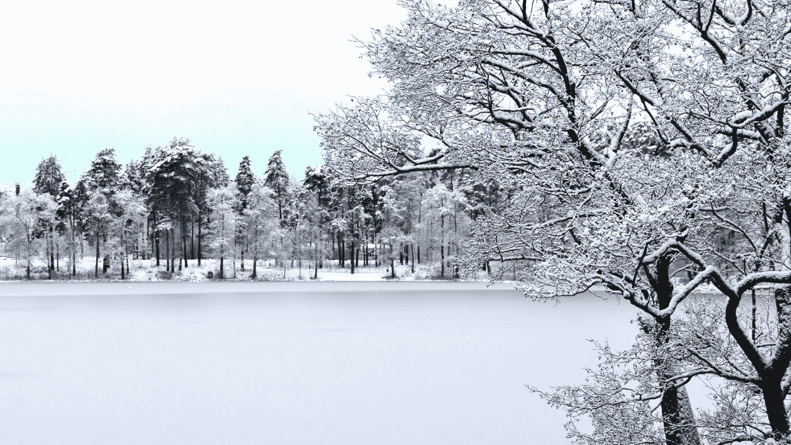 Pogoda na Sylwestra i Nowy Rok. Prognozy nie pozostawiają złudzeń