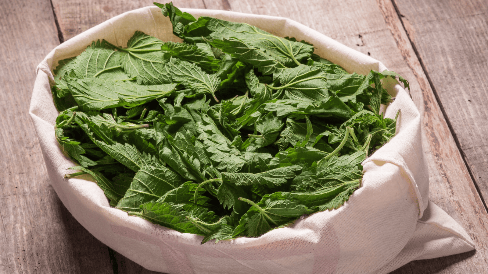 Sproszkowana pokrzywa. Właściwości i zastosowanie w codziennej diecie