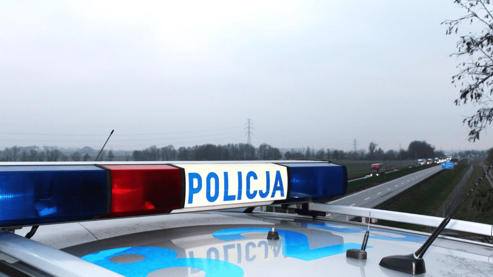 Kolega 11-latki przerwał milczenie ws. tragedii w Jeleniej Górze. Tak zachowywała się przed zab*jstwem