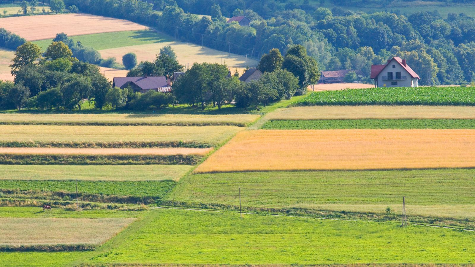 Zamieszkasz na wsi, tylko jeśli się na to zgodzisz. Nowe prawo w drodze, notariusz ma być obowiązkowy