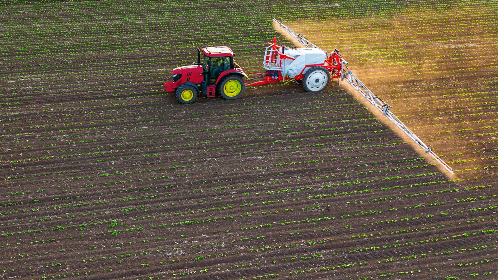 To nie są zwykłe szkody. Rolnicy biją na alarm, wiosna przynosi straty