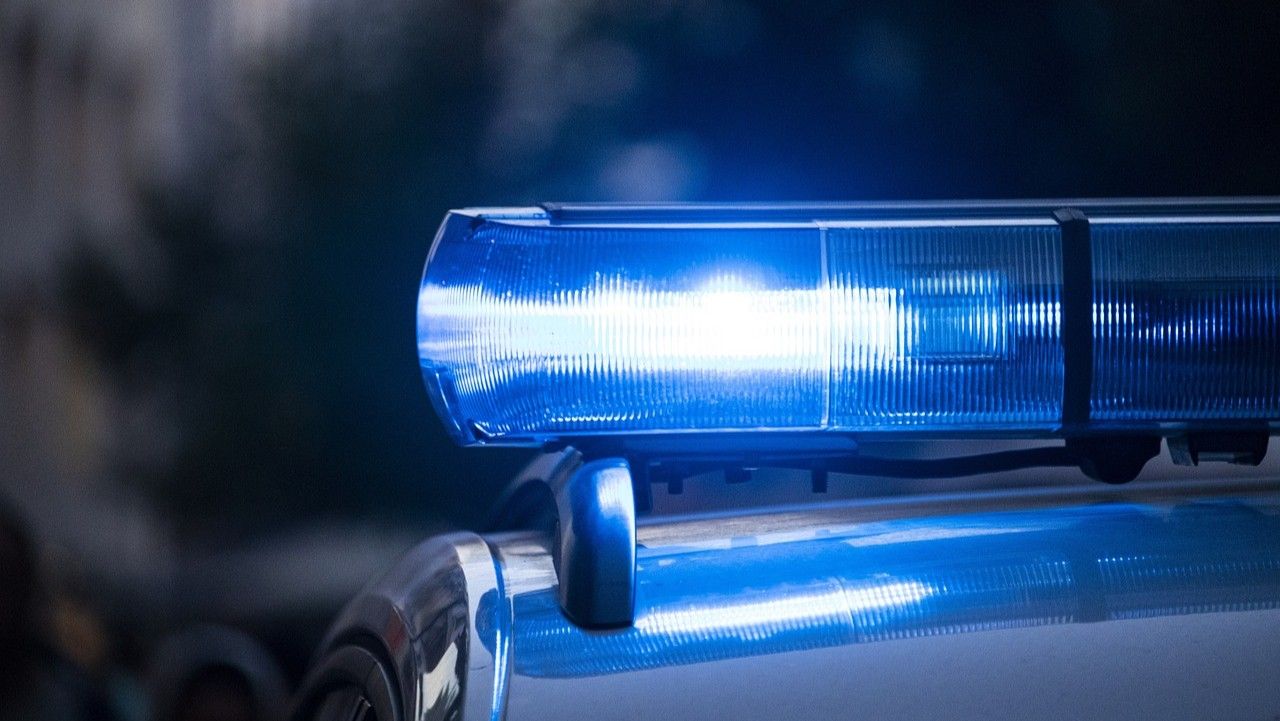 policja