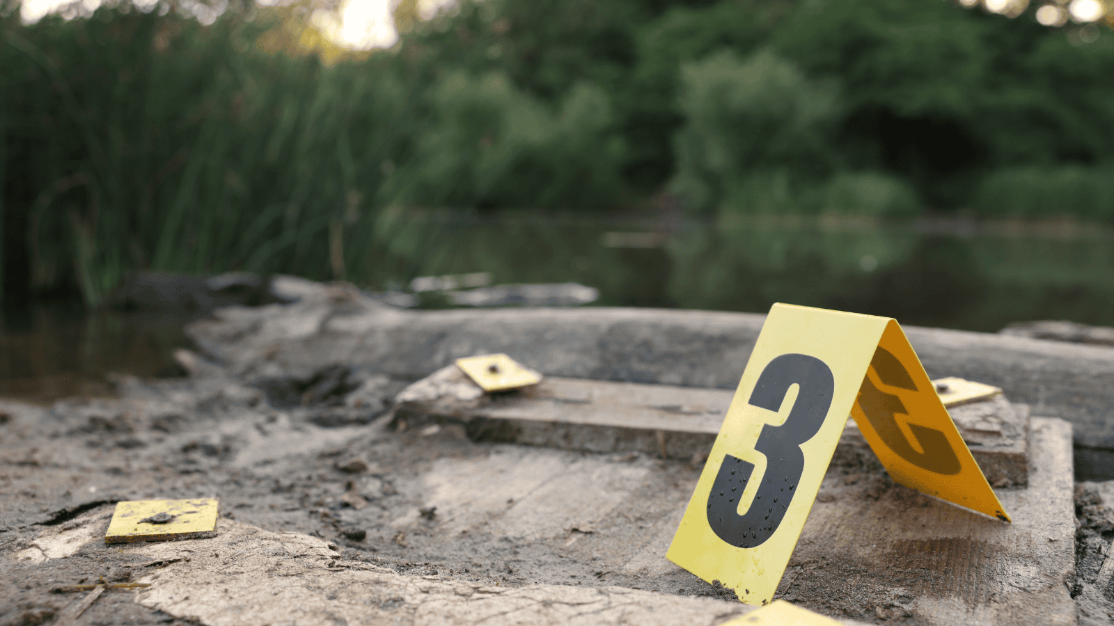 Śmierć ojca i syna. Tragedia w Mrozach