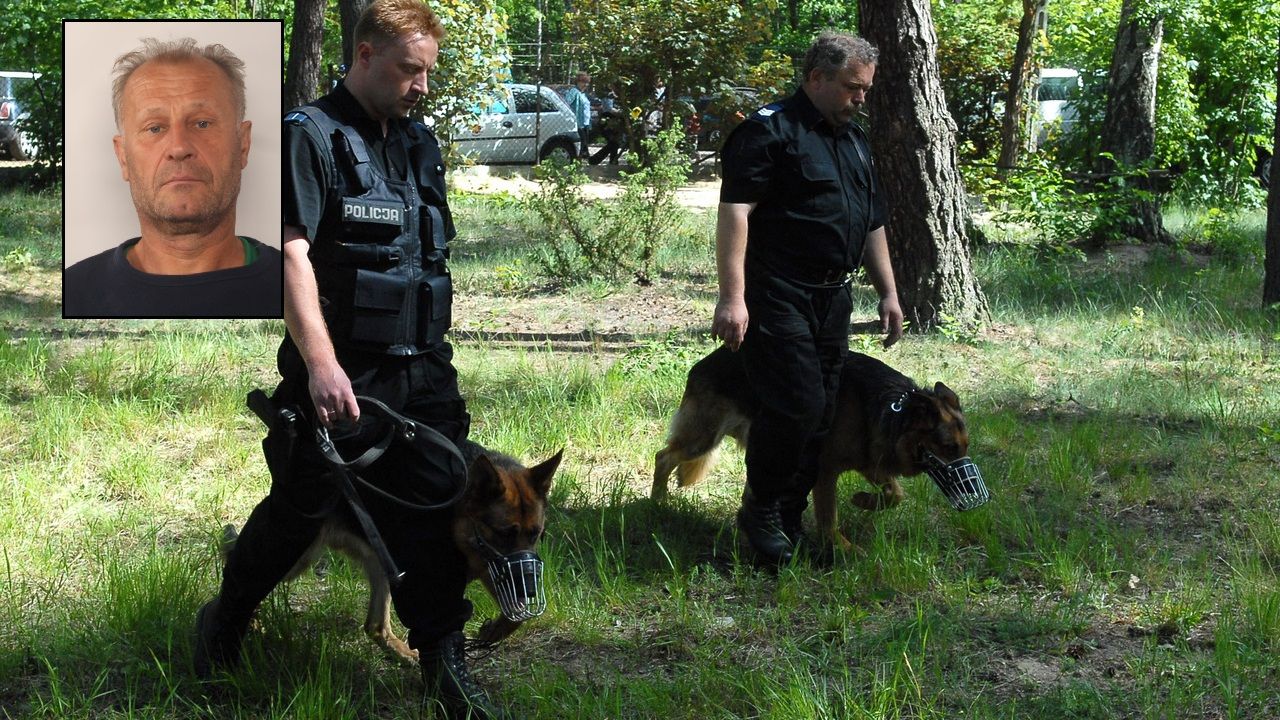 policja