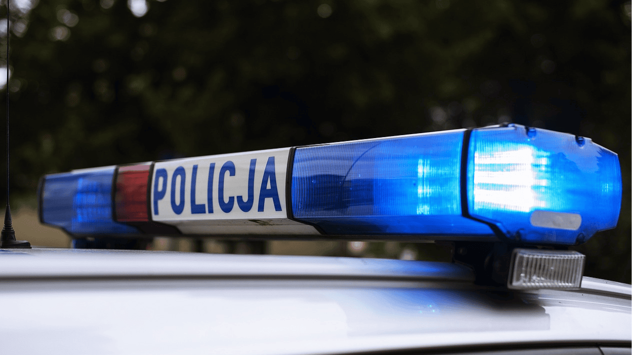 policja