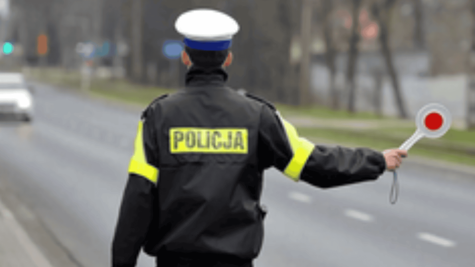 Policyjna służba w ciągu jednej doby. Podano zaskakujące dane