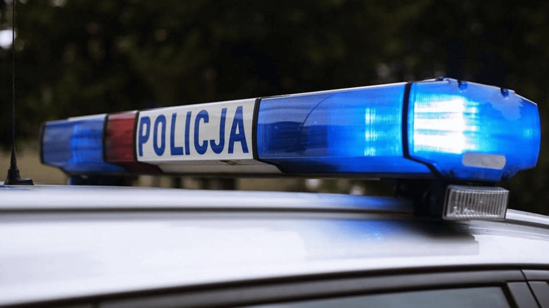 policja.jpg