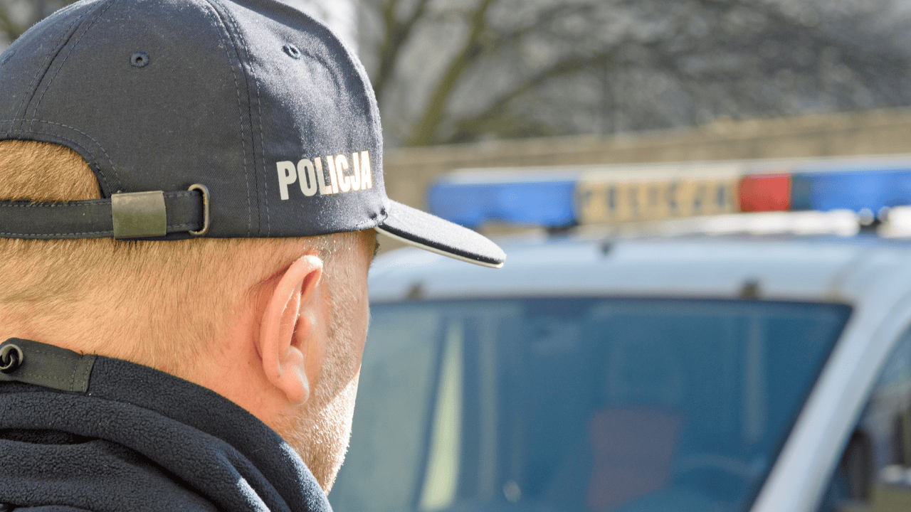 policja