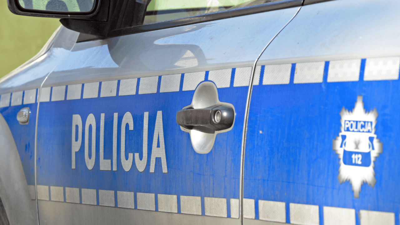 policja
