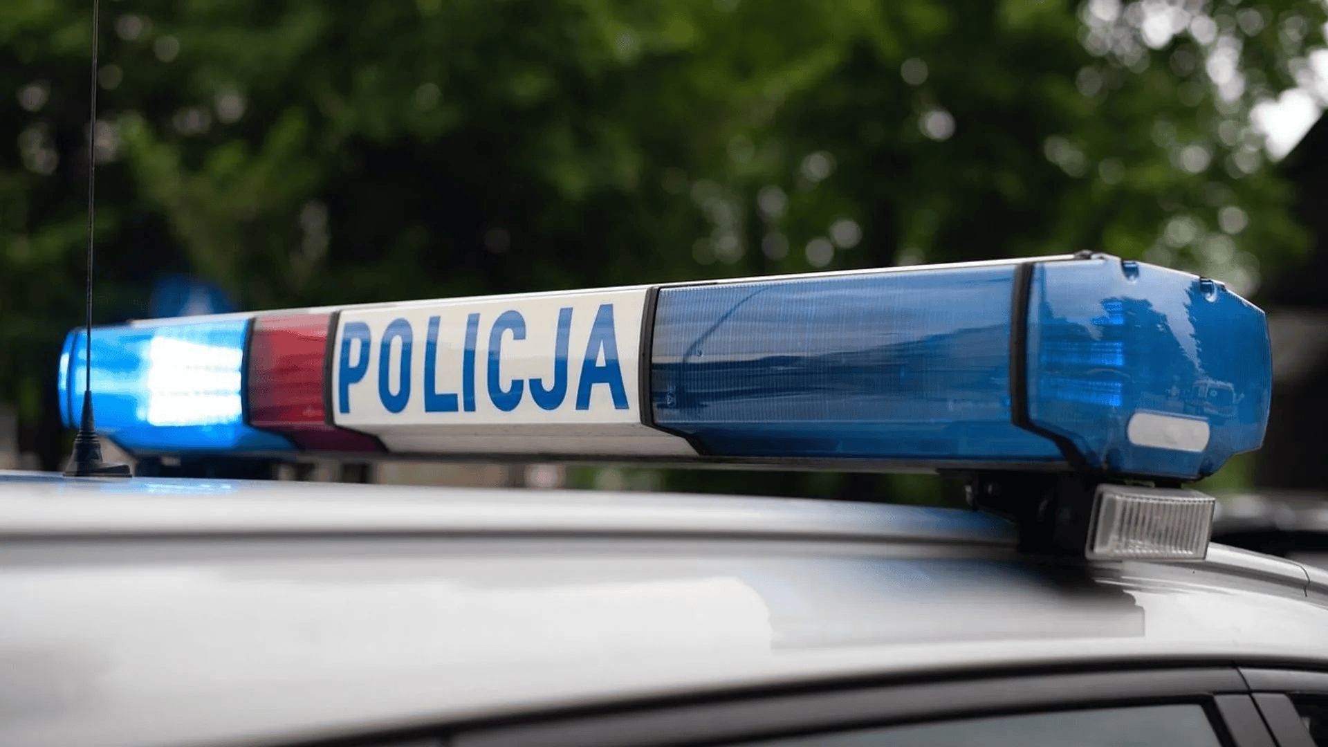 policja.jpg