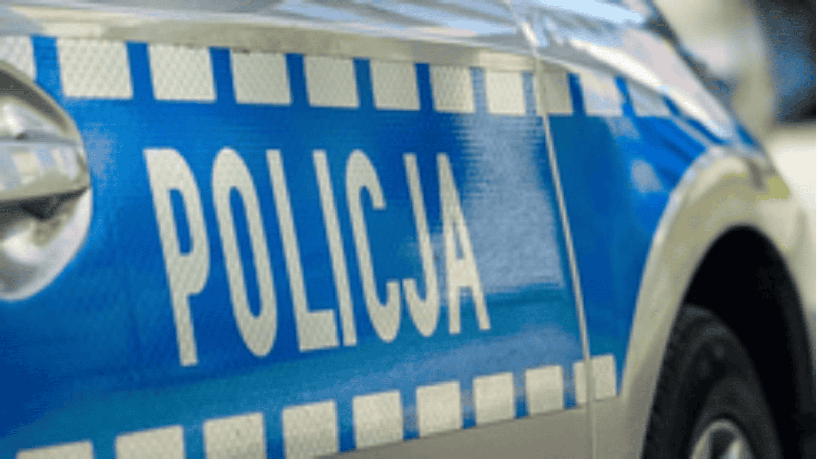 Policyjna służba w ciągu jednej doby. Podano zaskakujące dane