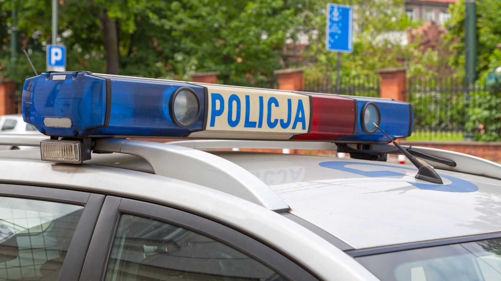 policja
