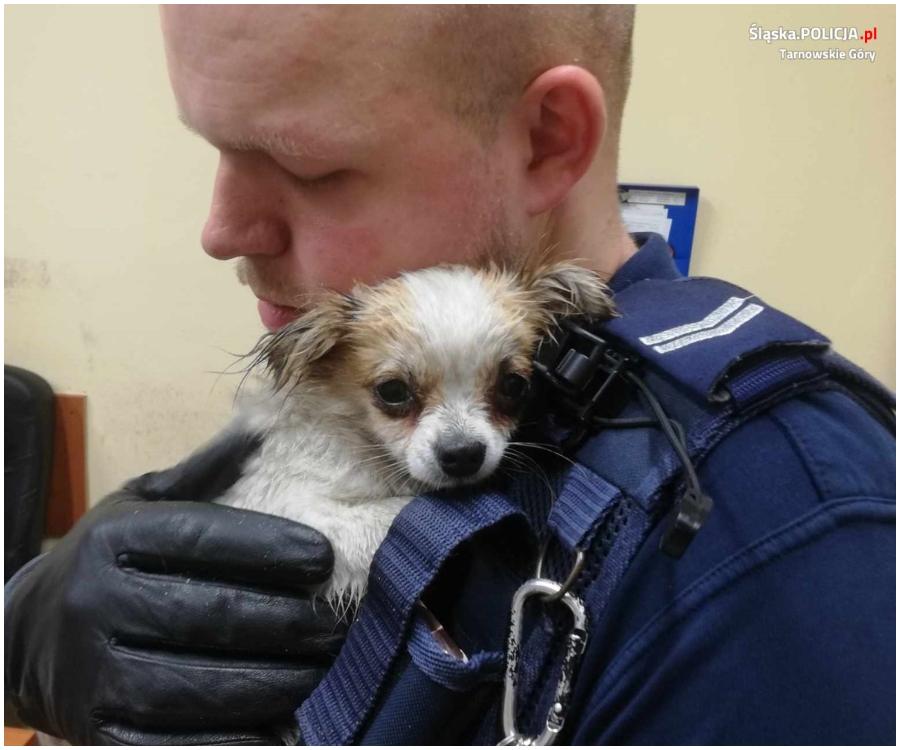 policjant z kalet uratowal psa (1).jpg