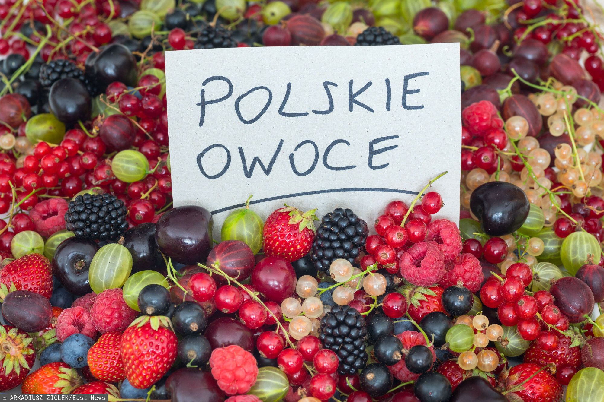owoce