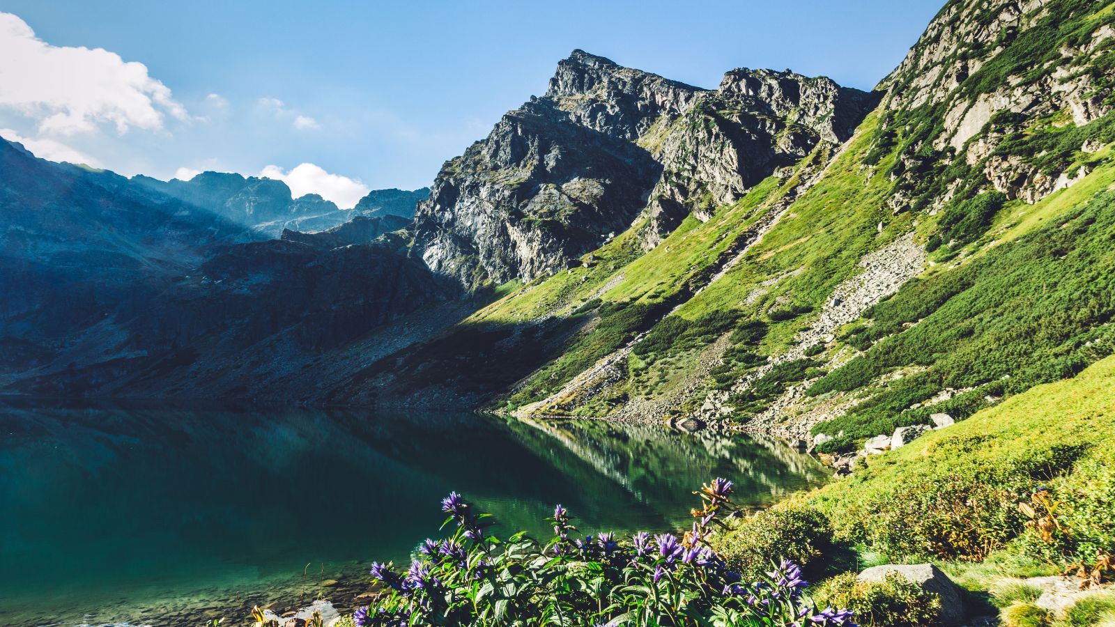 Nad Morskie Oko znów pojedziemy busem. TPN opublikował aktualne cenniki, podróż kosztuje krocie