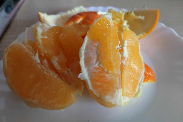 pomarańcza z Lidla.jpg