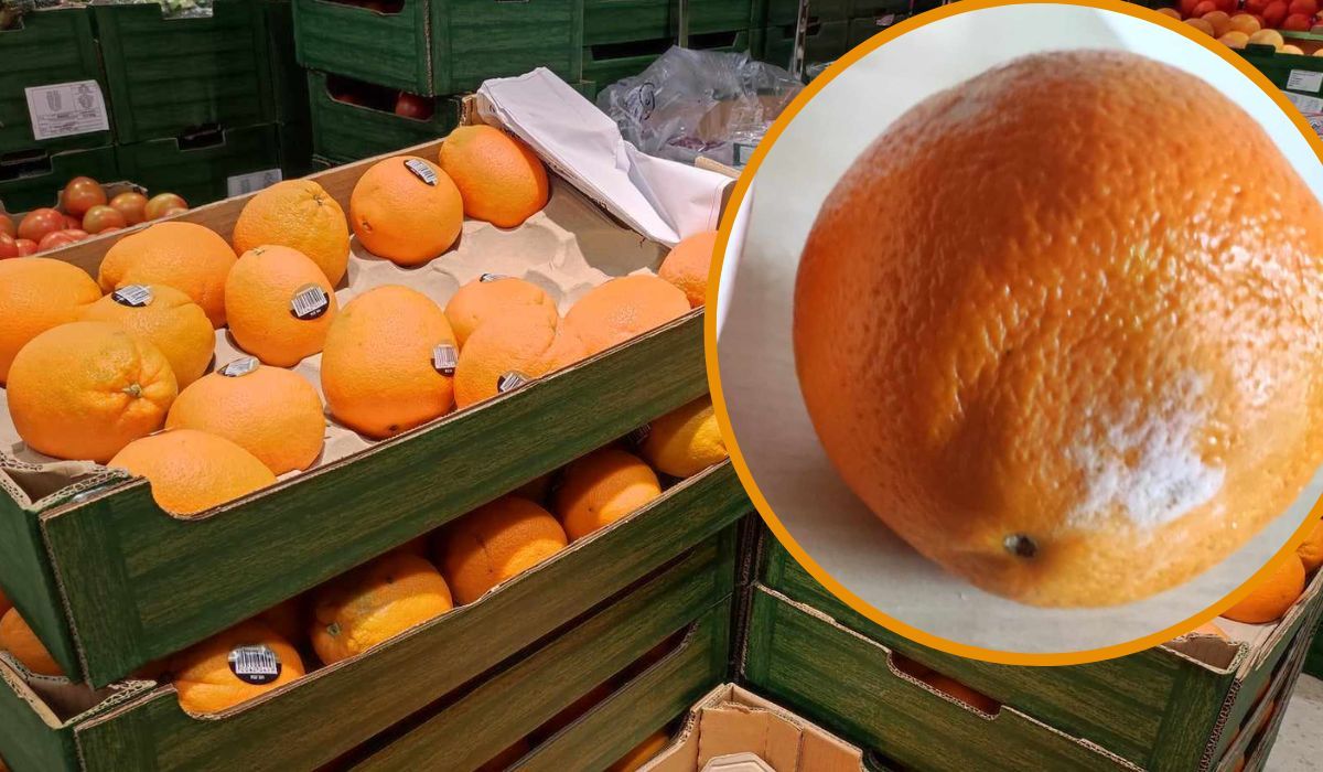 pomarańcze z dyskontów