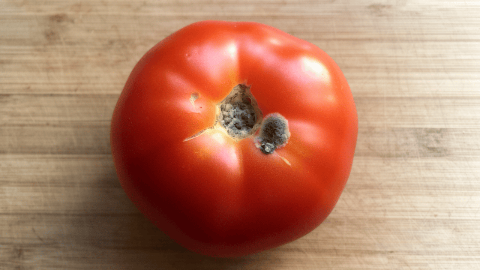 Czy odkrojenie pleśni usuwa zagrożenie dla zdrowia? GIS ostrzega - cały produkt wciąż jest niebezpieczny