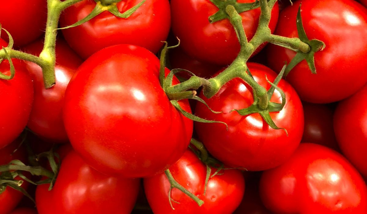 pomidory 2.jpg