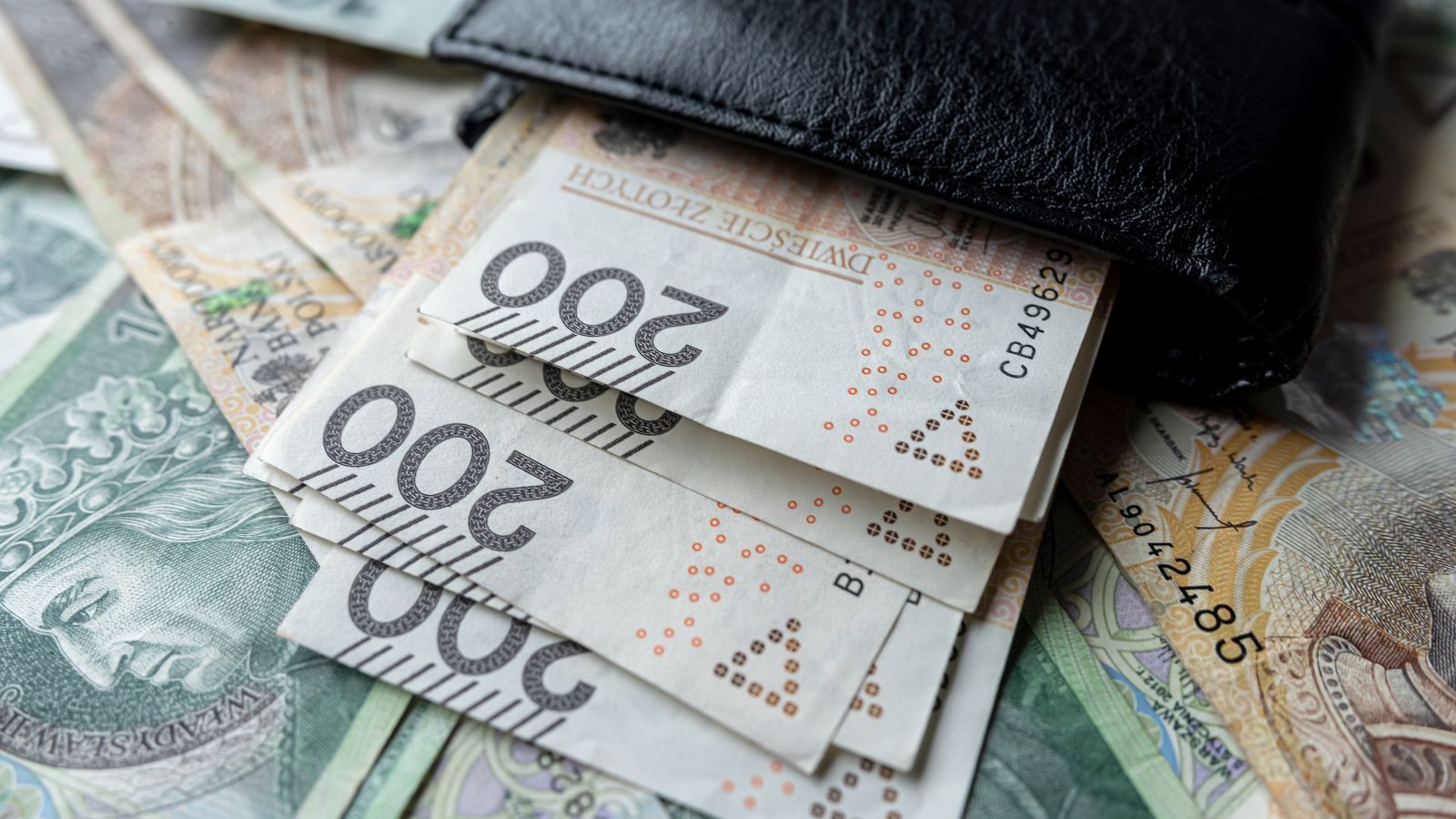 4134 zł bez względu na dochód, przelewy co miesiąc. 2 stycznia ruszają wypłaty