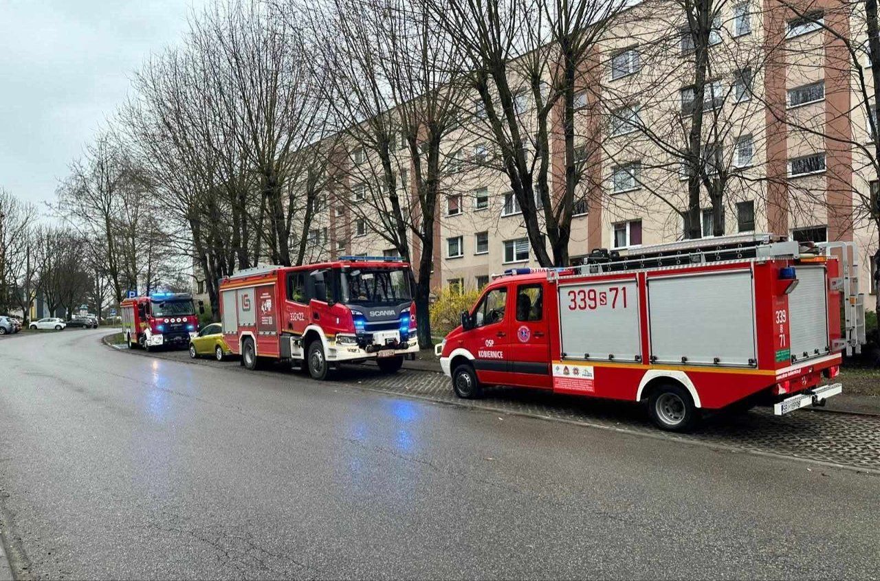 Tragiczny finał poszukiwań. Nie żyje 51-latka i jej 17-letni syn