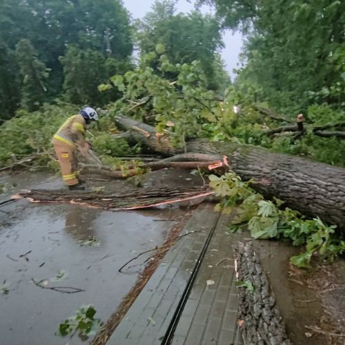 powalone drzewo Fot. OSP Rzeszów.jpg