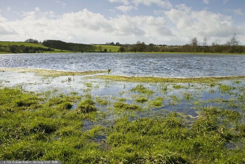 Ważne zmiany dla rolników od 15 września. Państwo odkupi nieużytki i zniszczoną ziemię
