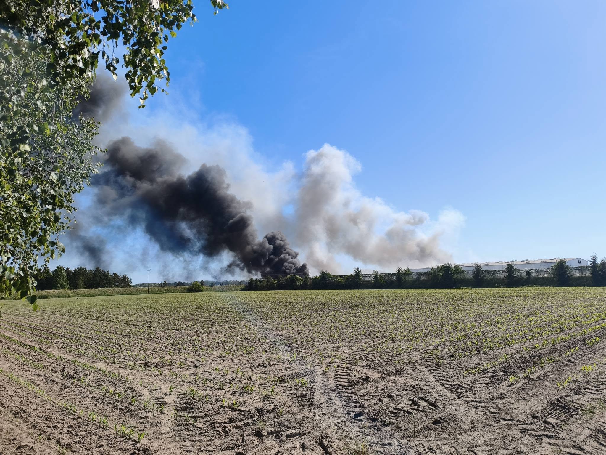 Ogromny pożar w Dąbrówce Wielkopolskiej. Płonie zakład przetwarzania odpadów
