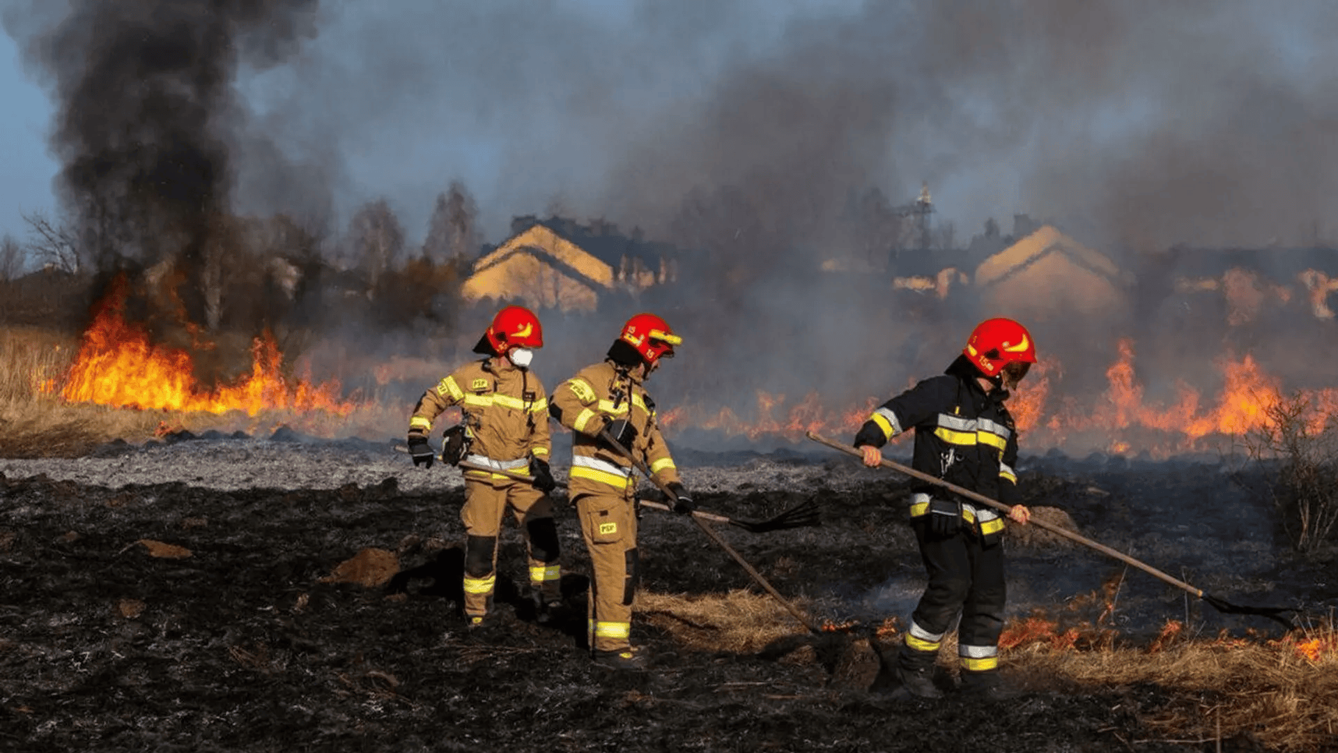 Dramatyczny pożar w znanej polskiej firmie. Polacy ruszyli z pomocą. "Nie spodziewaliśmy się"