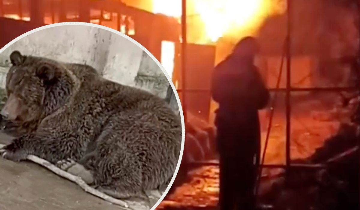 Potężny pożar w zoo. Zginęło ponad 200 zwierząt, niewiele udało się uratować