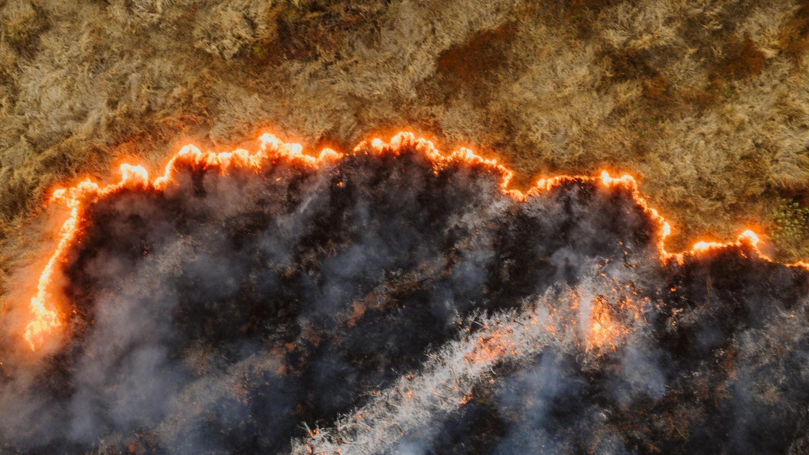 Kary za wypalanie traw będą znacznie wyższe. Prezydent Nawrocki podjął decyzję