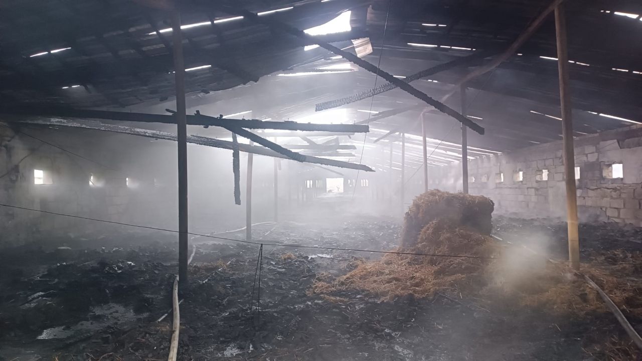 Pożar dwóch kurników pod Olsztynem. W akcji 18 zastępów straży pożarnej
