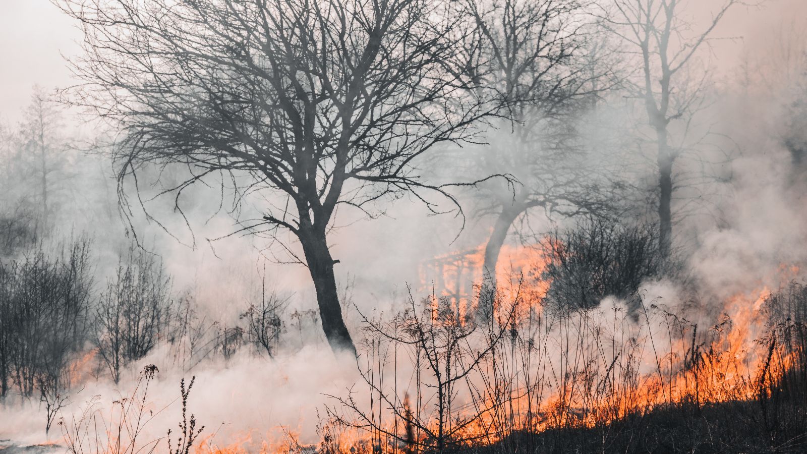 Nawet 30 tys. złotych kary za grillowanie w tym miejscu. Majówka 2026 może skończyć się pustym portfelem